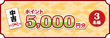 中吉 ポイント 5,000円分 3名様