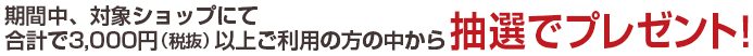期間中、対象ショップにて合計で3,000円（税抜）以上ご利用の方の中から抽選でプレゼント！