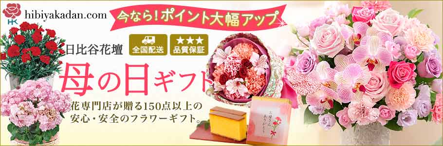 hibiyakadan.com 今なら!ポイント大幅アップ 日比谷花壇 全国配送 品質保証 母の日ギフト 花専門店が贈る150点以上の安心・安全のフラワーギフト。