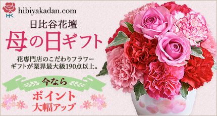 hibiyakadan.com 日比谷花壇 母の日ギフト 花専門店のこだわりフラワーギフトが業界最大級190点以上。 今ならポイント大幅アップ