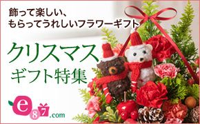 クリスマスギフト特集 e87.com 千趣会の花とギフトの専門ショップ イイハナ・ドットコム