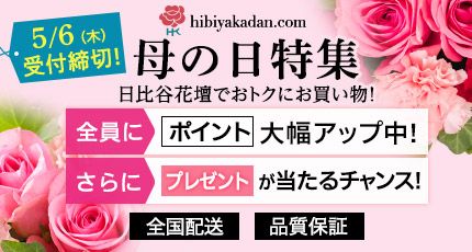 hibiyakadan.com 5/6（木）受付締切！ 母の日特集 日比谷花壇でおトクにお買い物！ 全員に ポイント 大幅アップ中！ さらに プレゼントが当たるチャンス！ 全国配送 品質保証